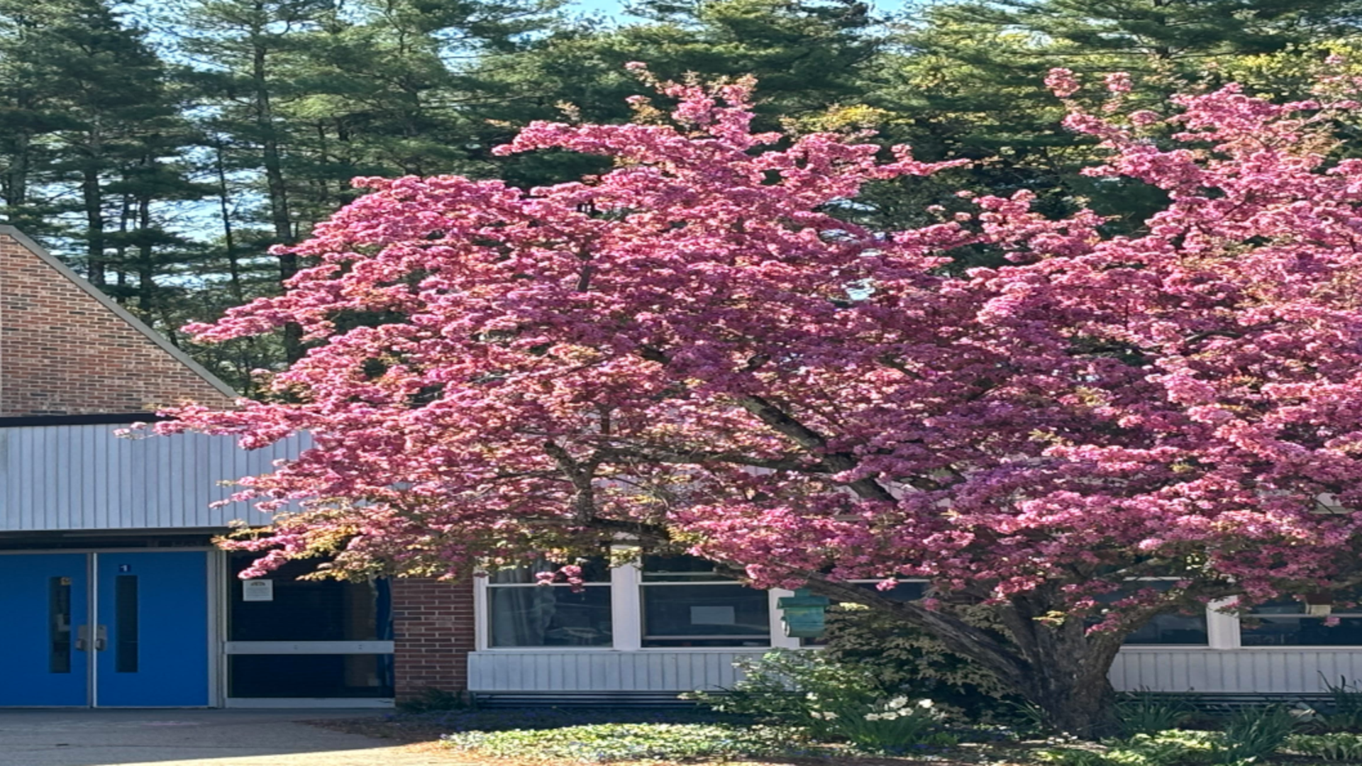 Holland Elementary School Building
