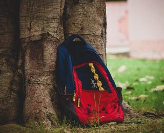 Backpack resting against a tree trunk in a grassy area.