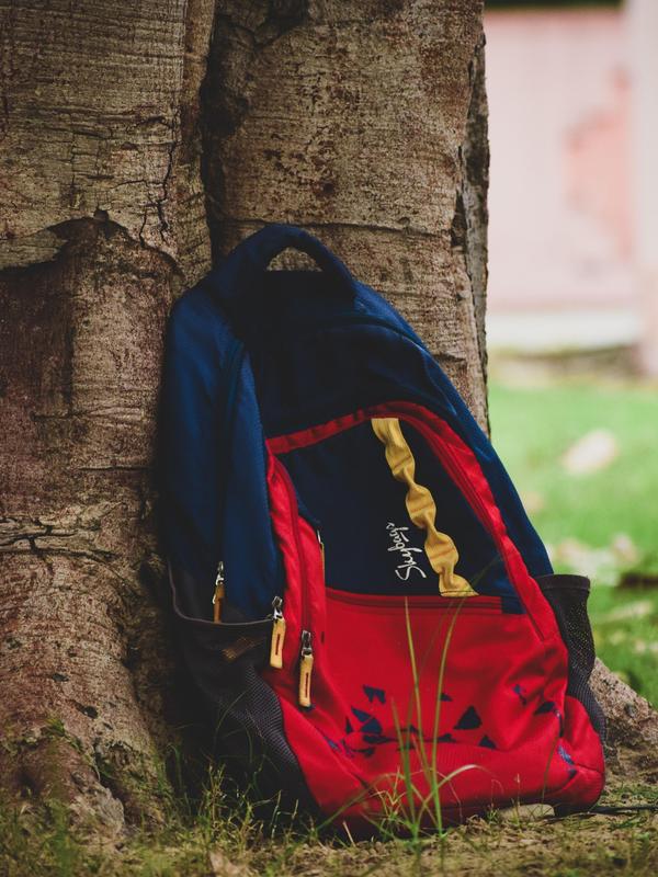 A red and blue backpack leaning against a tree trunk in a grassy area.