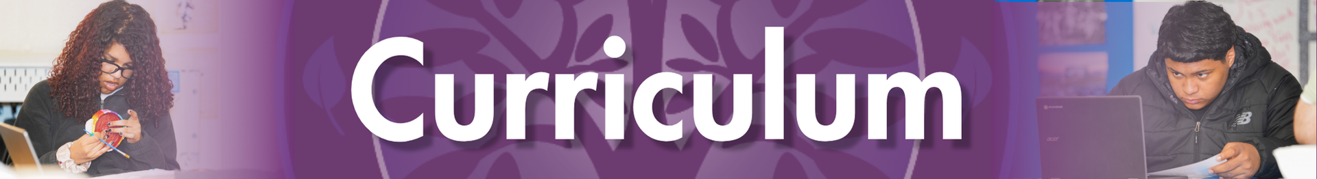 Curriculum Title Heading