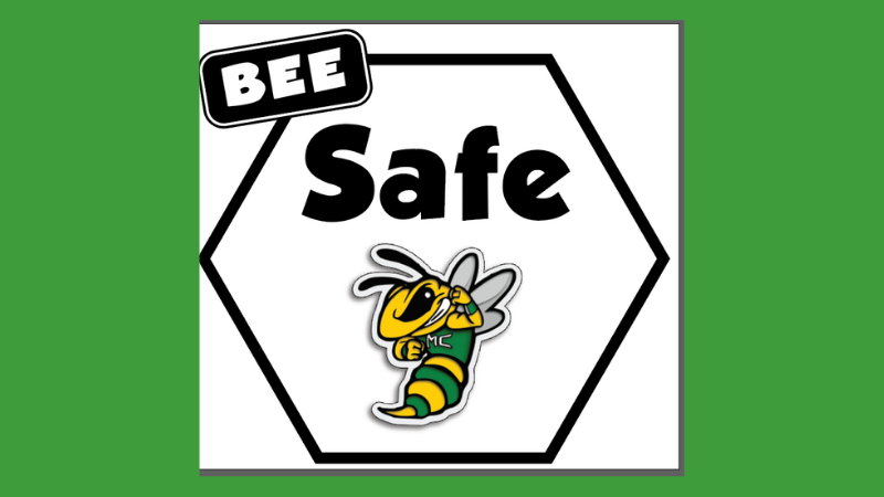 Safe