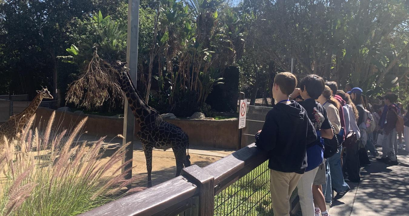 la zoo