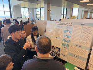 Students looking at projects