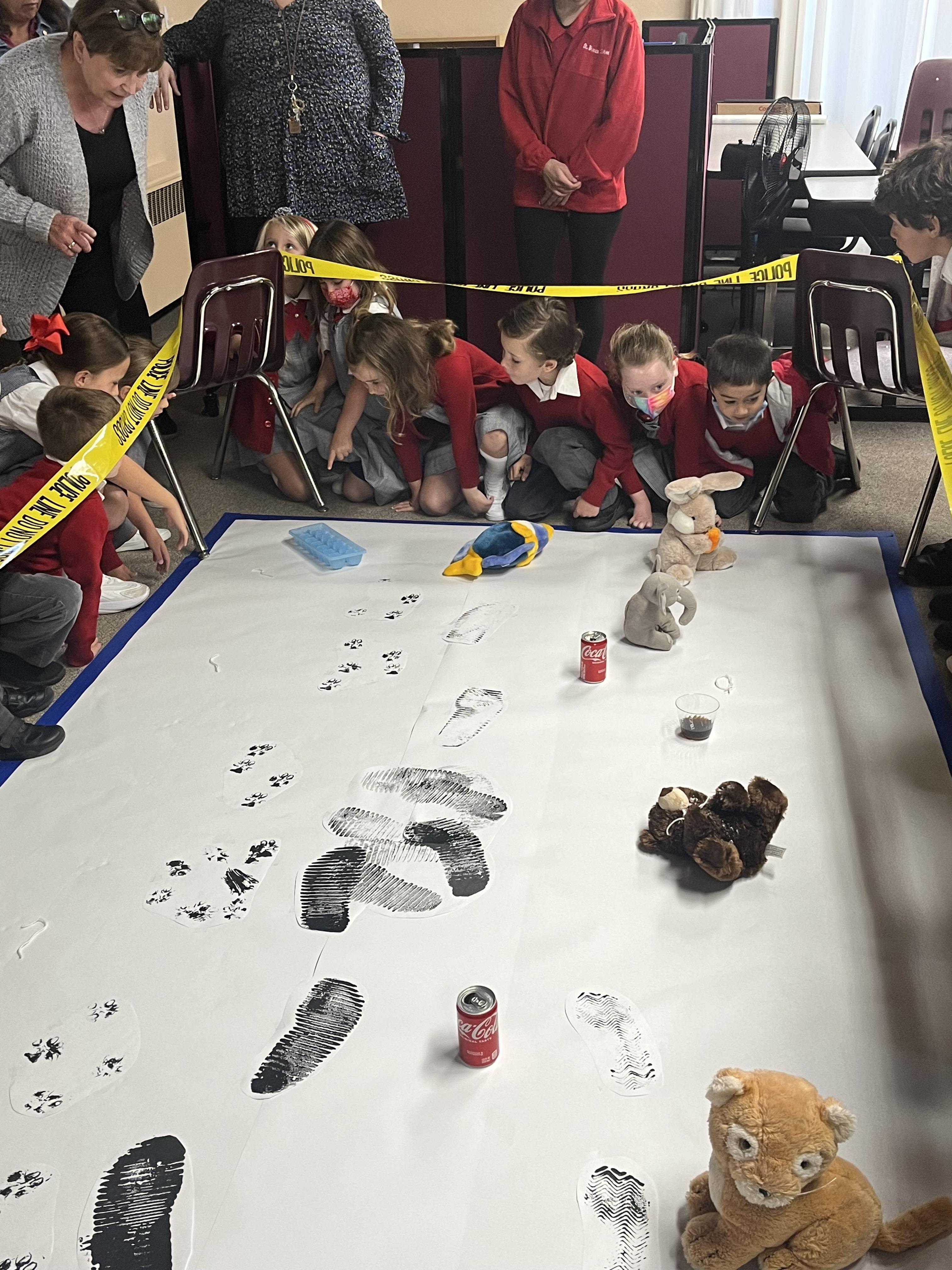 1st Grade Science Science 12, Mrs.Donovan St. Brendan Parish School