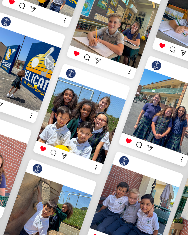 Website and Social Updates Featured Photo