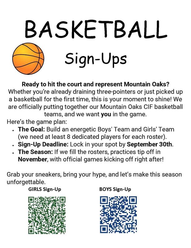 basketball sign up flyer