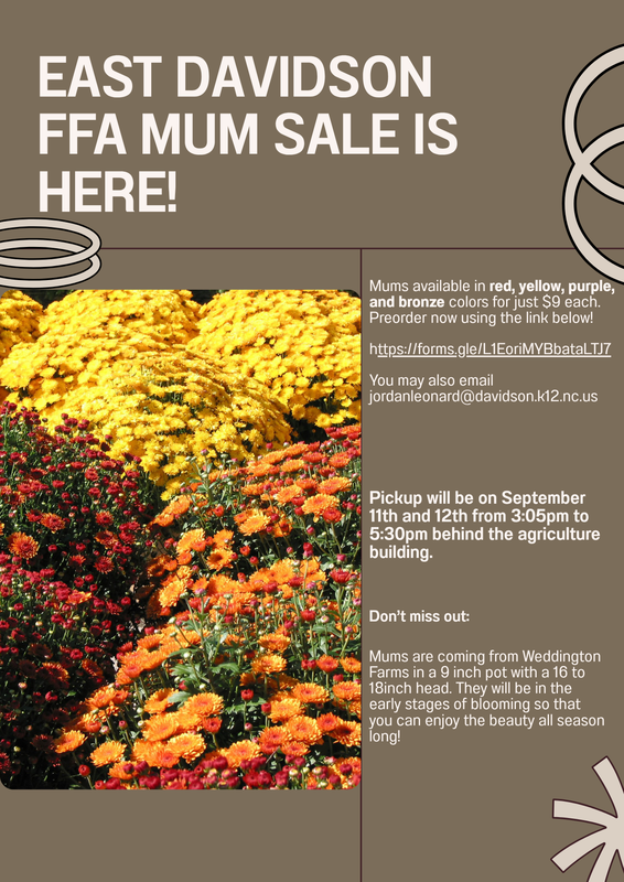 FFA Mum Sale