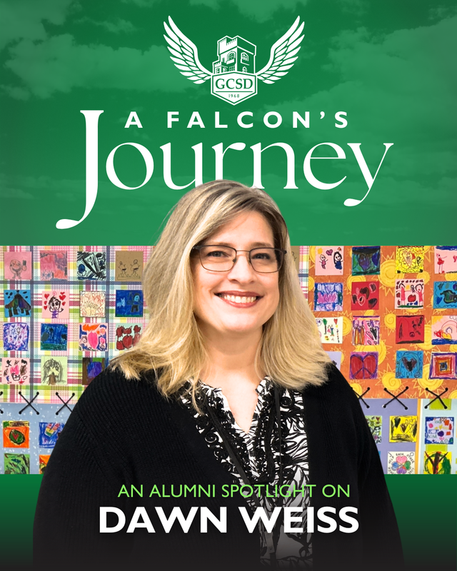 A Falcons Journey - Dawn Weiss