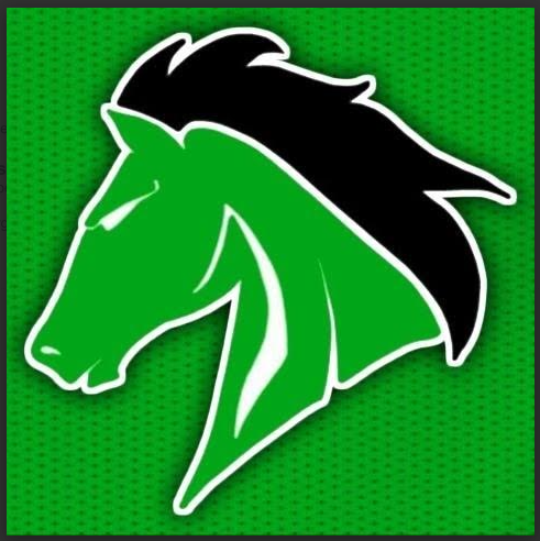 WSHS Colt logo