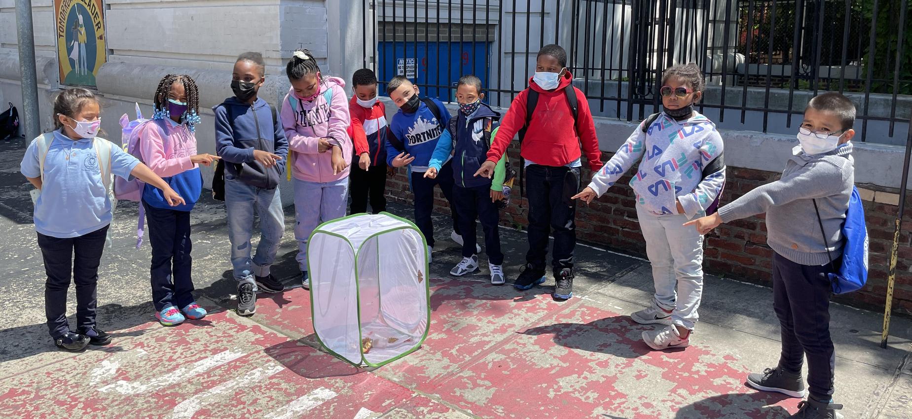 Students with butterfly habitat
