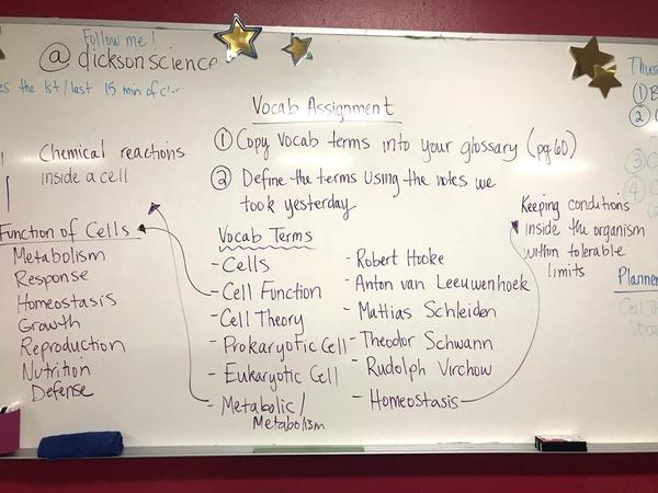 Cell Theory Vocab.jpg