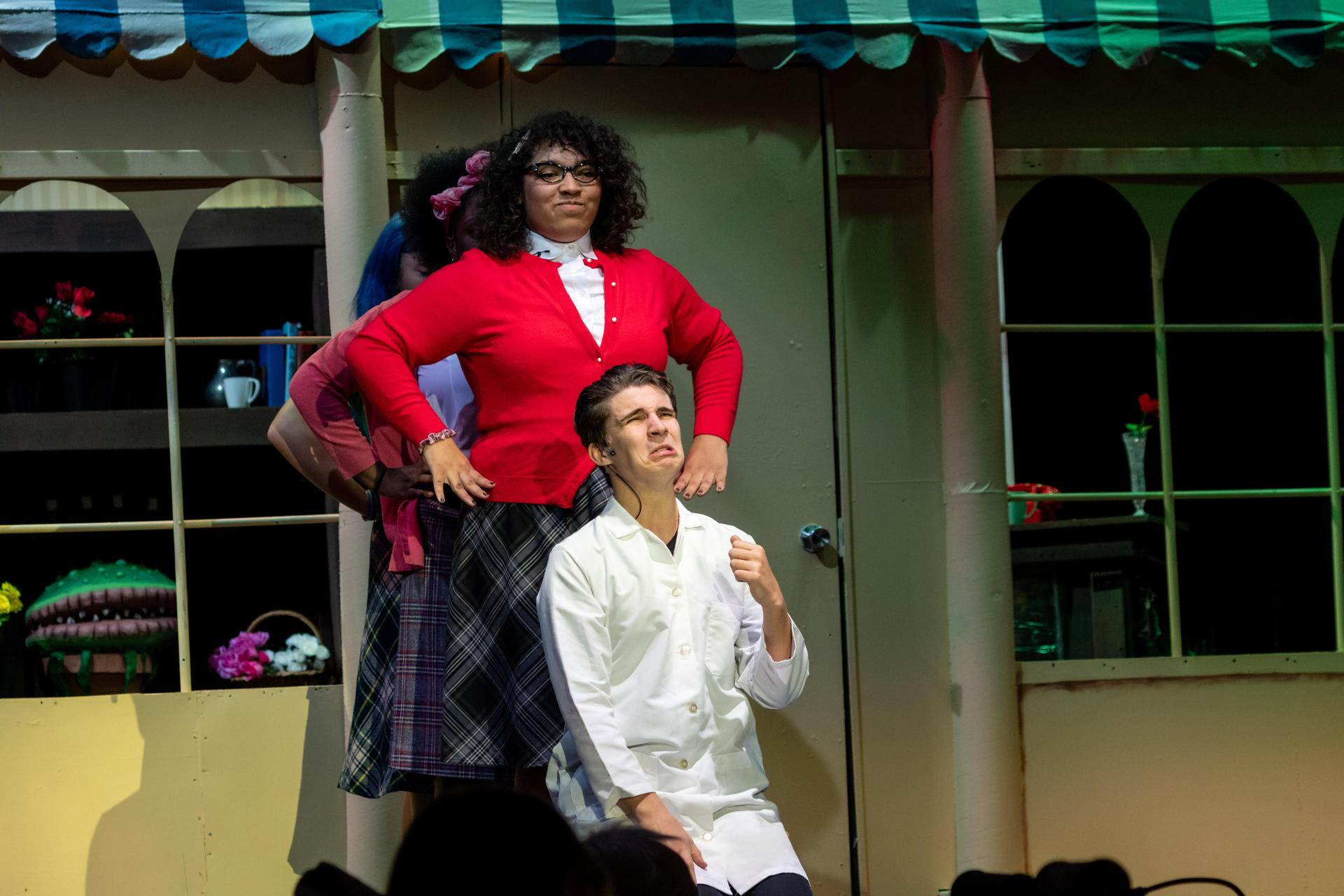 A scene from Little Shop of Horrors