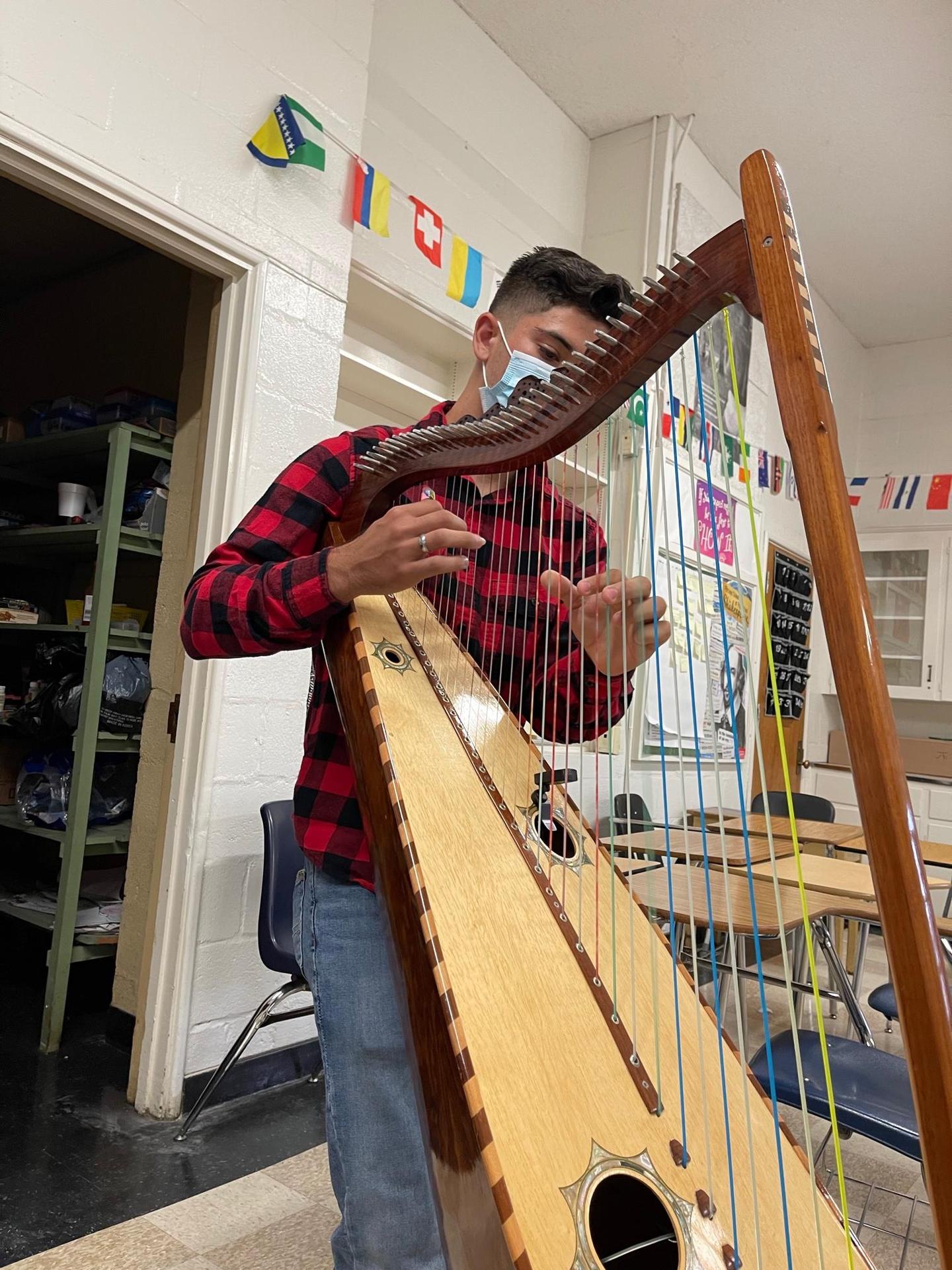 Wooden Harp