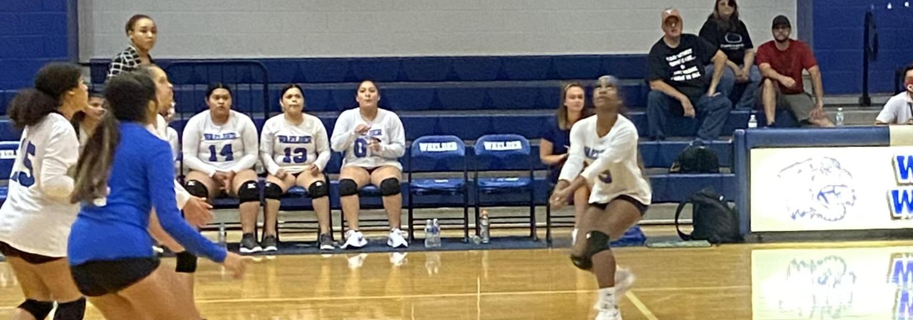 Ladycats vs Lady Cobras