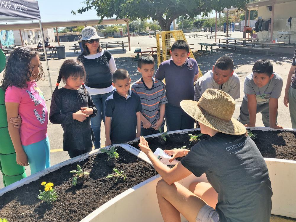 What's New at Arminta Our School Arminta Street Elementary