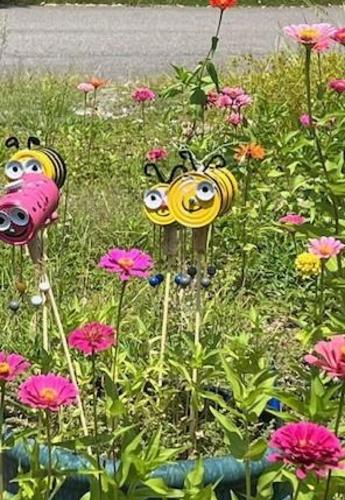 bees in garden
