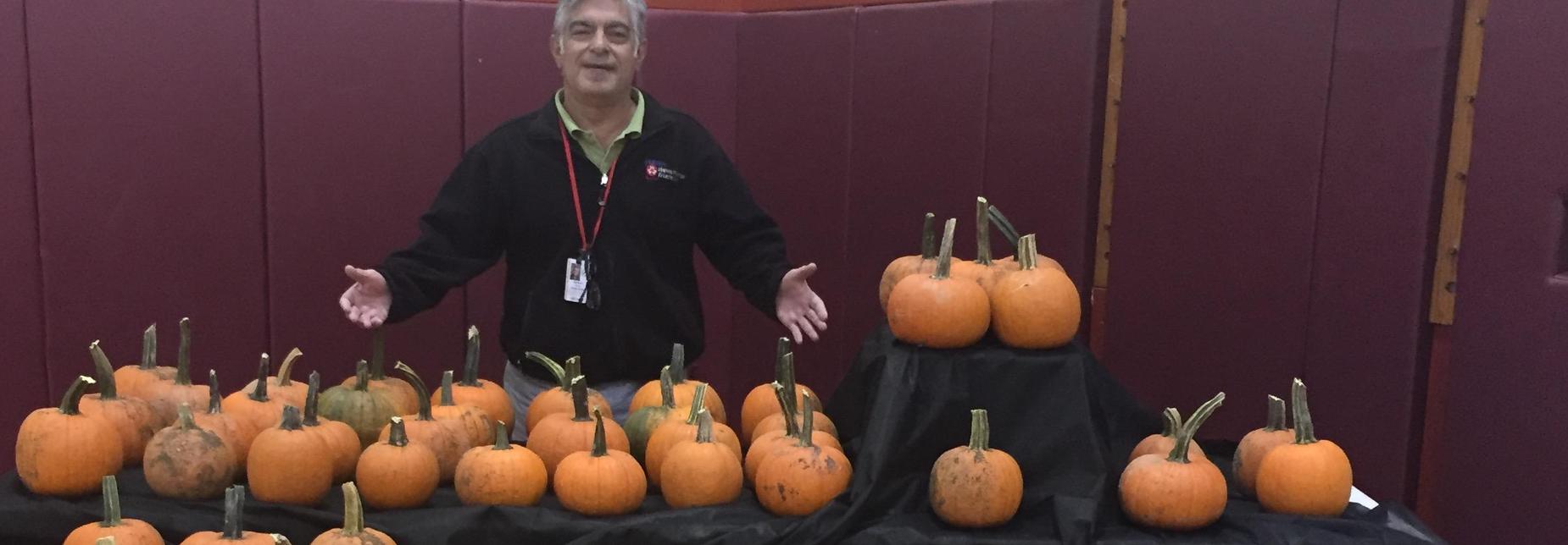 Pumpkins