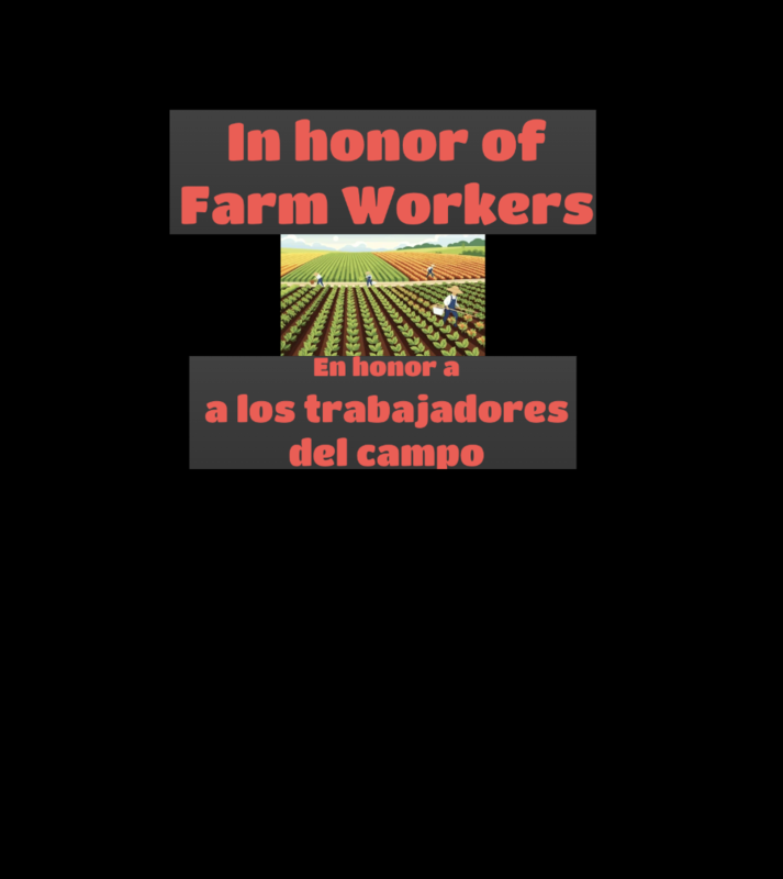 farm workers day an image of a field