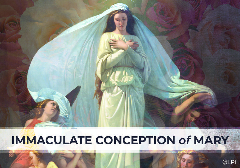 Immaculate Conception of the Blessed Virgin Mary Thumbnail Image