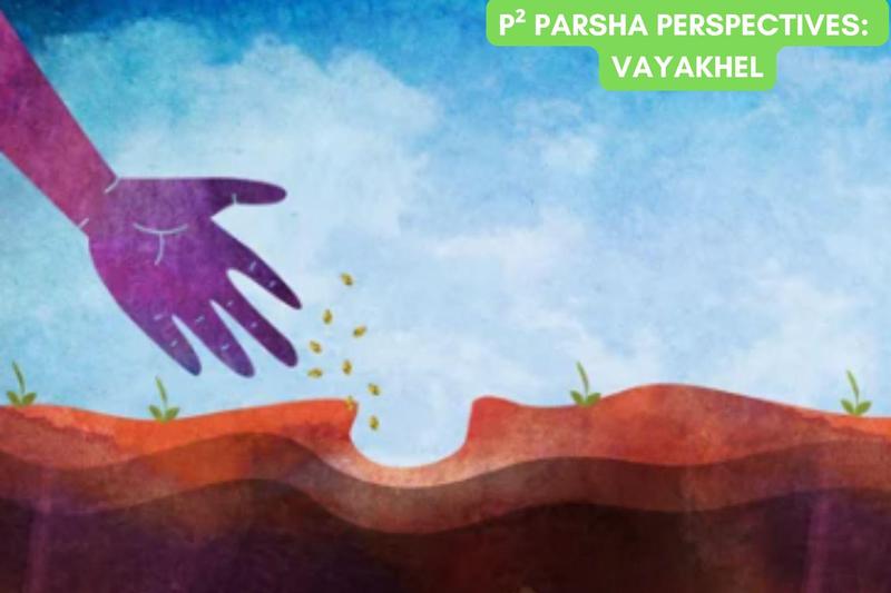 P² Parsha Perspectives: Vayakhel