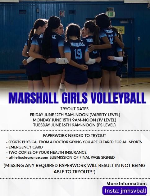 Volleyball Flyer