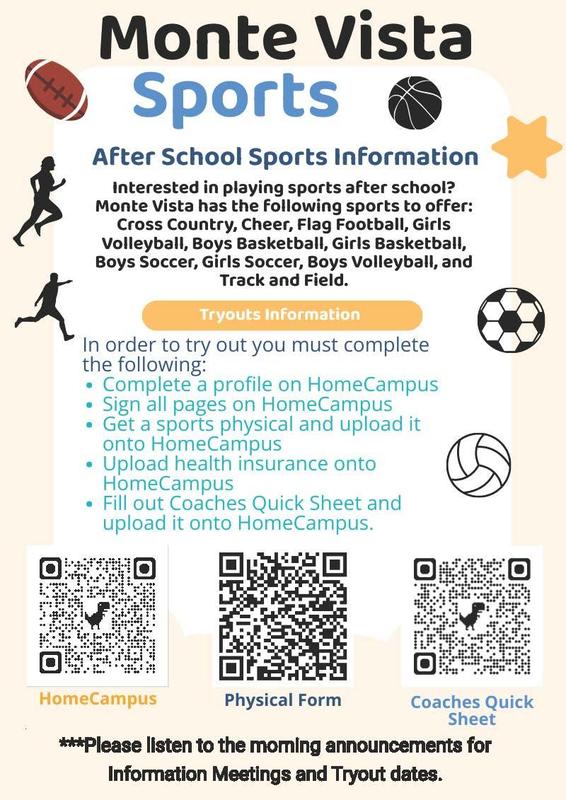 Sports Flyer