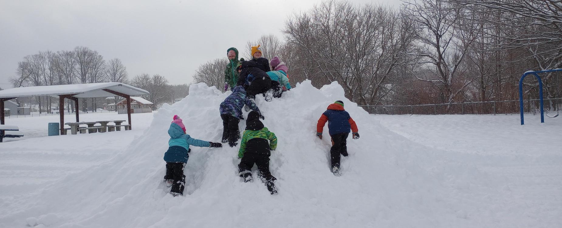 Snowbank