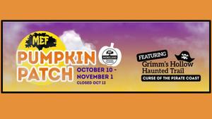 MEF pumpkin patch.jpg