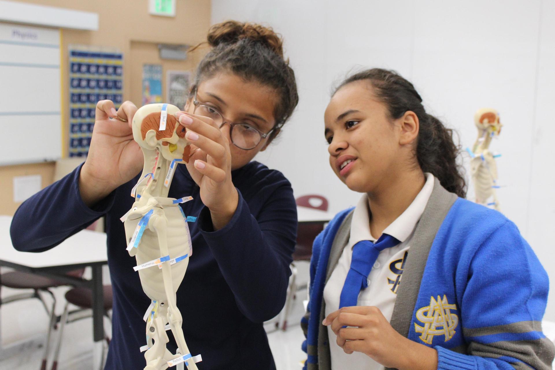 health career human body class