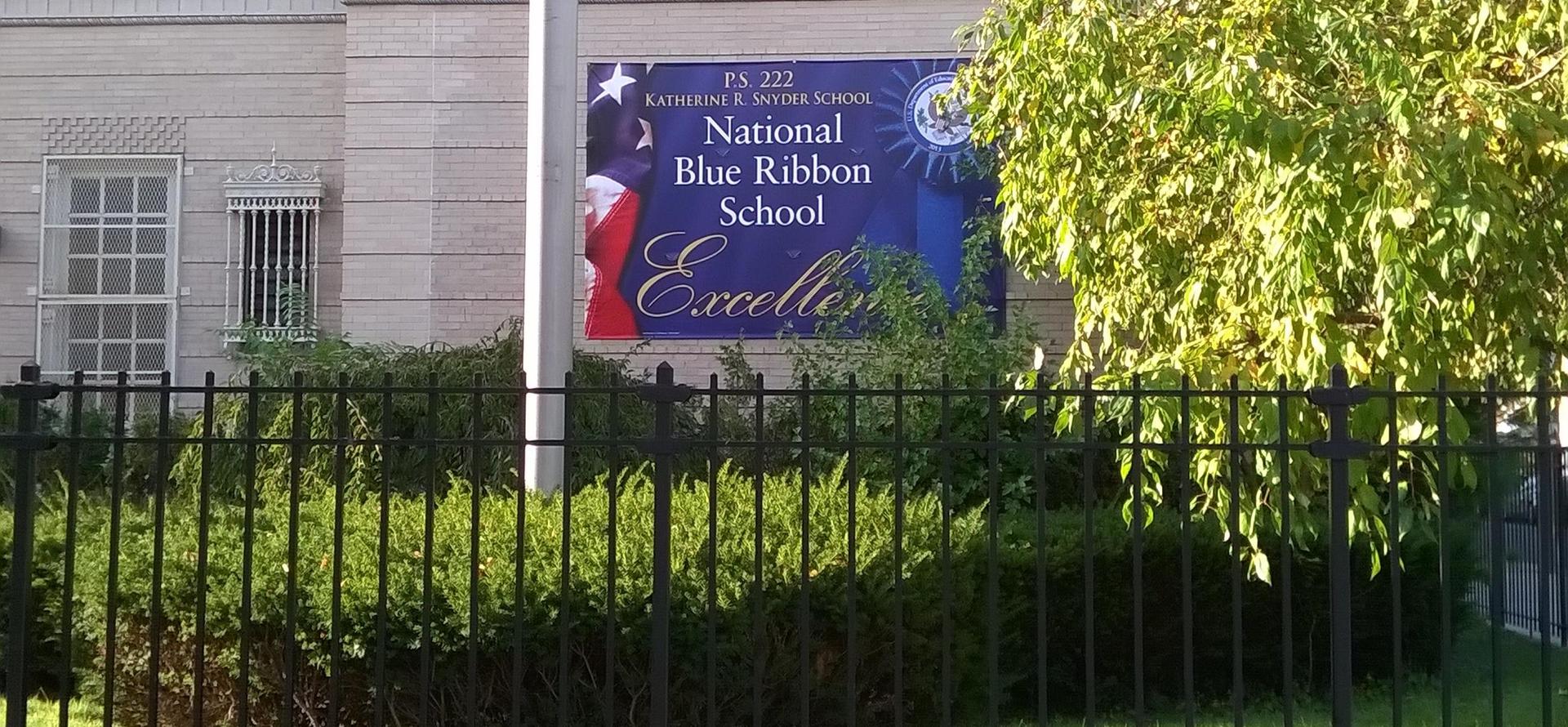 Banner for P.S. 222 highlighting its Blue Ribbon School status.