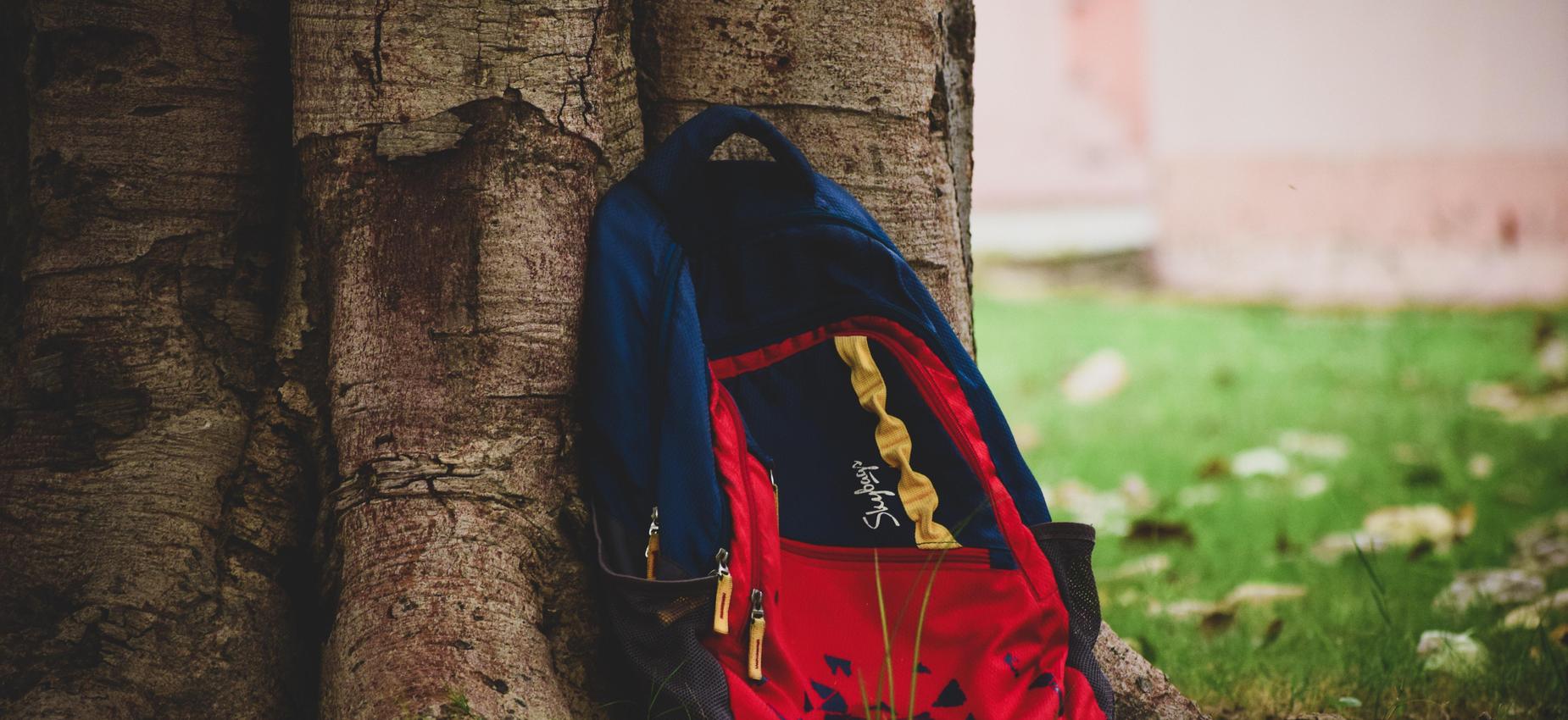 A red and blue backpack leaning against a tree trunk on green grass.