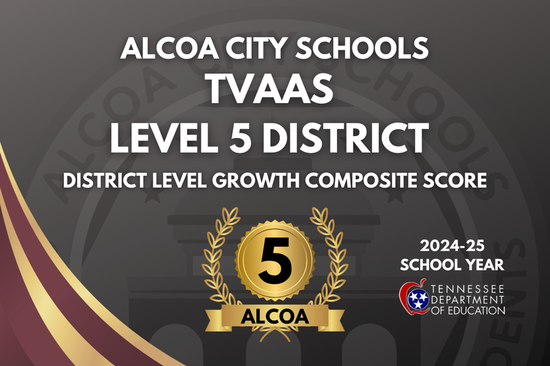 Level 5 District