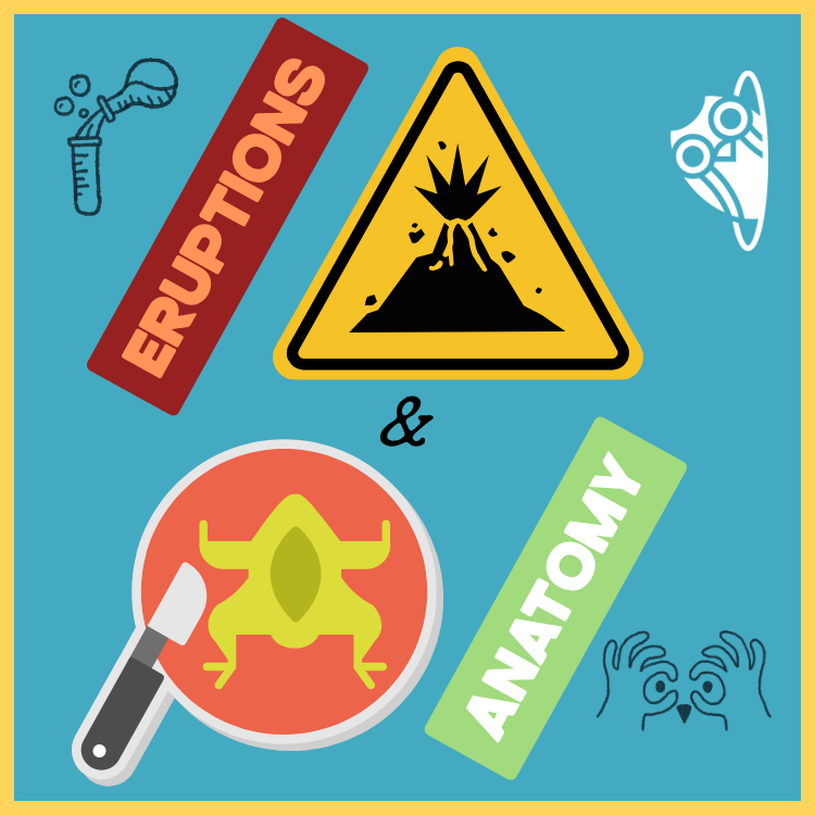 Eruptions & Anatomy: Science Comes Alive to Close the School Year!