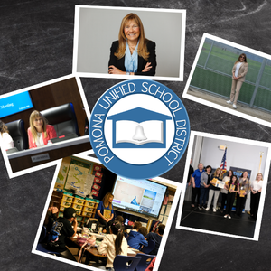 Perlman Photo scrapbook - image for post