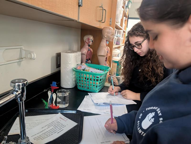 Lab Practice