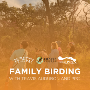 A group of people birdwatching in a wooded area at sunset. Overlaid text reads: “Roots & Wings Festival – Family Birding with Travis Audubon and PPC.” Logos of Travis Audubon and Pease Park Conservancy are included.