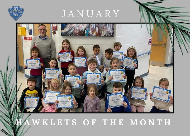 Hawklets of the Month