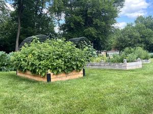 Elijah's Garden