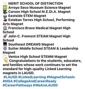 MSA Recognition