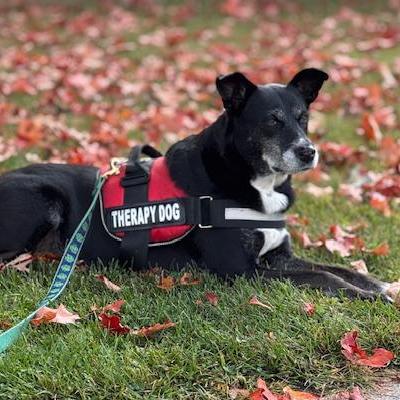 HollyMathews's Profile Photo