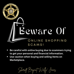 Online Shopping Scams 2025