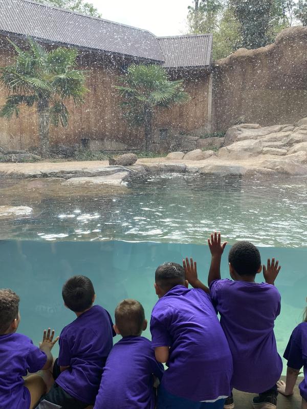 PreK and Kinder at the zoo.