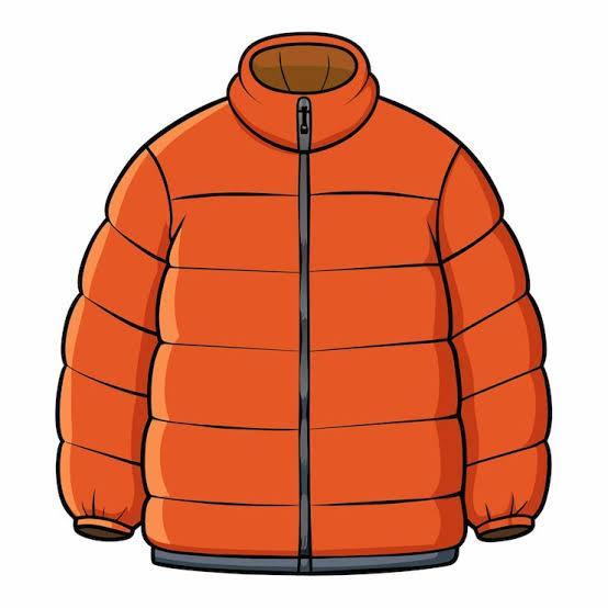 Bright orange puffy jacket with a high collar.
