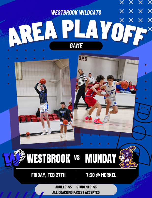 Area Game Playoff Info