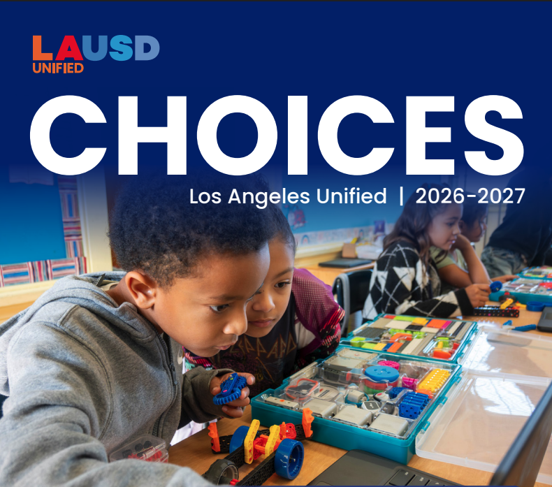 Choices Poster Image