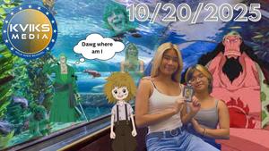 Thumbnail News Bulletin.jpg