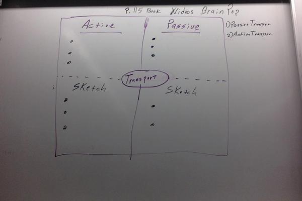 Photo on 2-8-19 at 3.03 PM.jpg