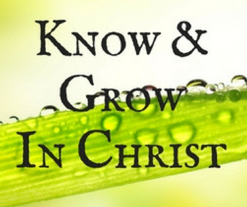 Register for Faith Formation (Eng/Span) Thumbnail Image