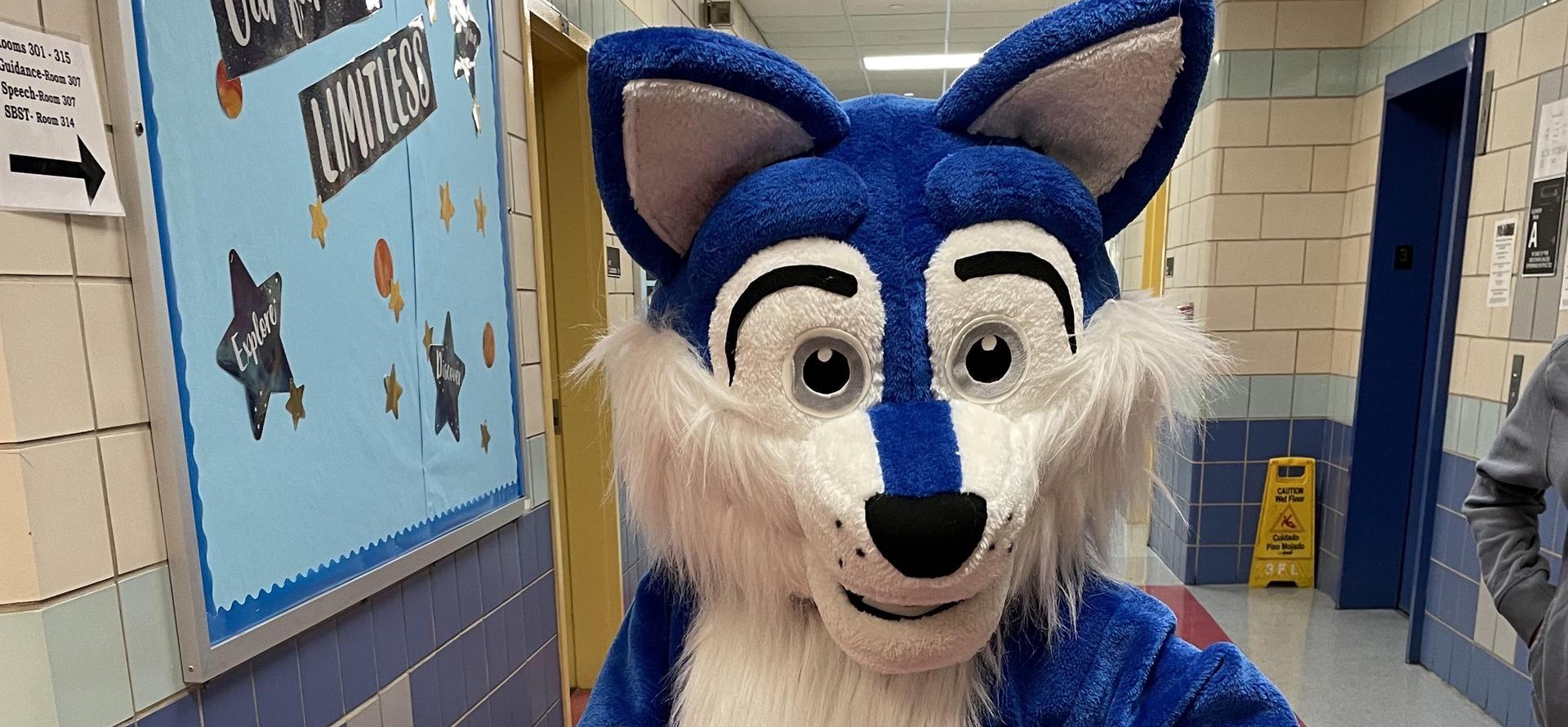 A furry mascot in a blue and white costume waving in a school hallway.