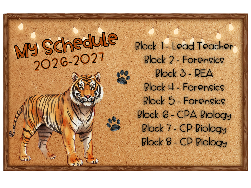 Schedule